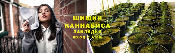скорость Алзамай