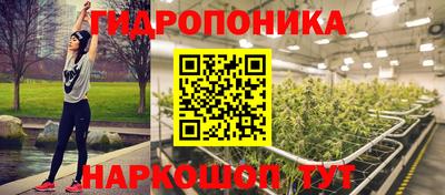 стафф Краснокаменск