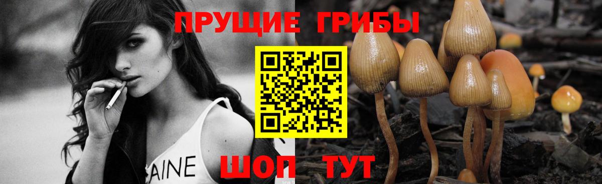 как найти закладки  Вход с VPN  Кимры  Галлюциногенные грибы прущие грибы 